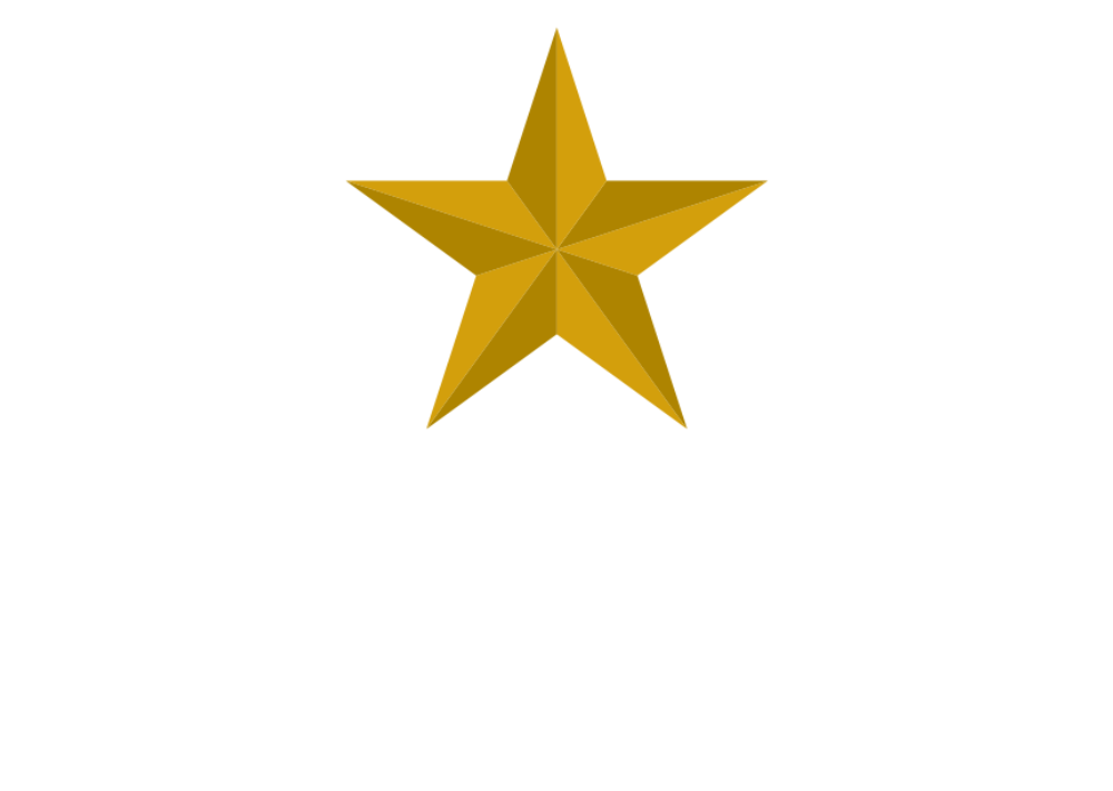 Anteprima Logo light